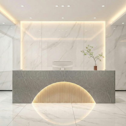 Fully Assembled LED Salon Reception Desk  with Storage RD-121