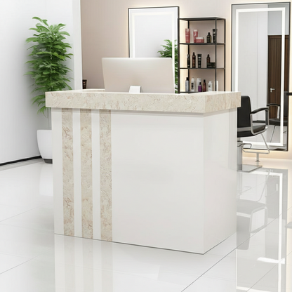 Light Luxury Salon Office Store Institution Reception Desk RD-194
