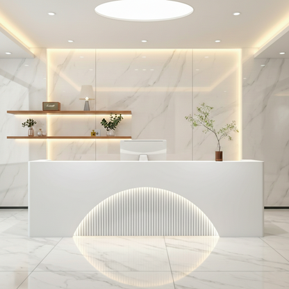 Fully Assembled LED Salon Reception Desk  with Storage RD-121