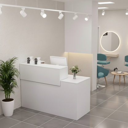 Simple Salon Office Shop Store Institution Reception Desk RD-113