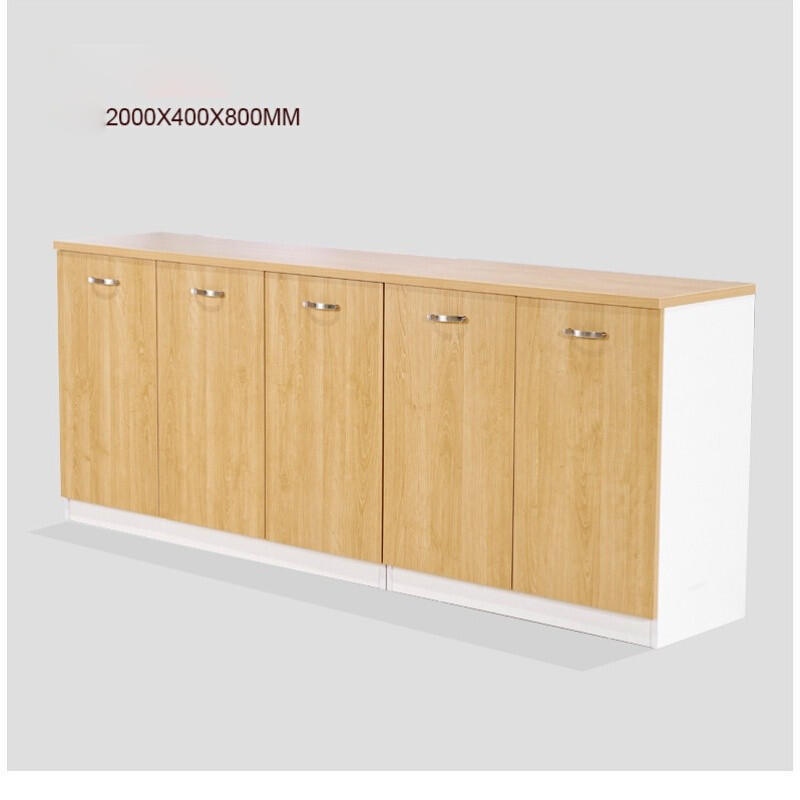 Modern Minimalist Low Office Storage Cabinet with Wooden Finish FC-003